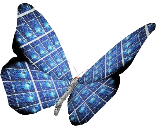 AVE RAVS S.A. DE C.V.